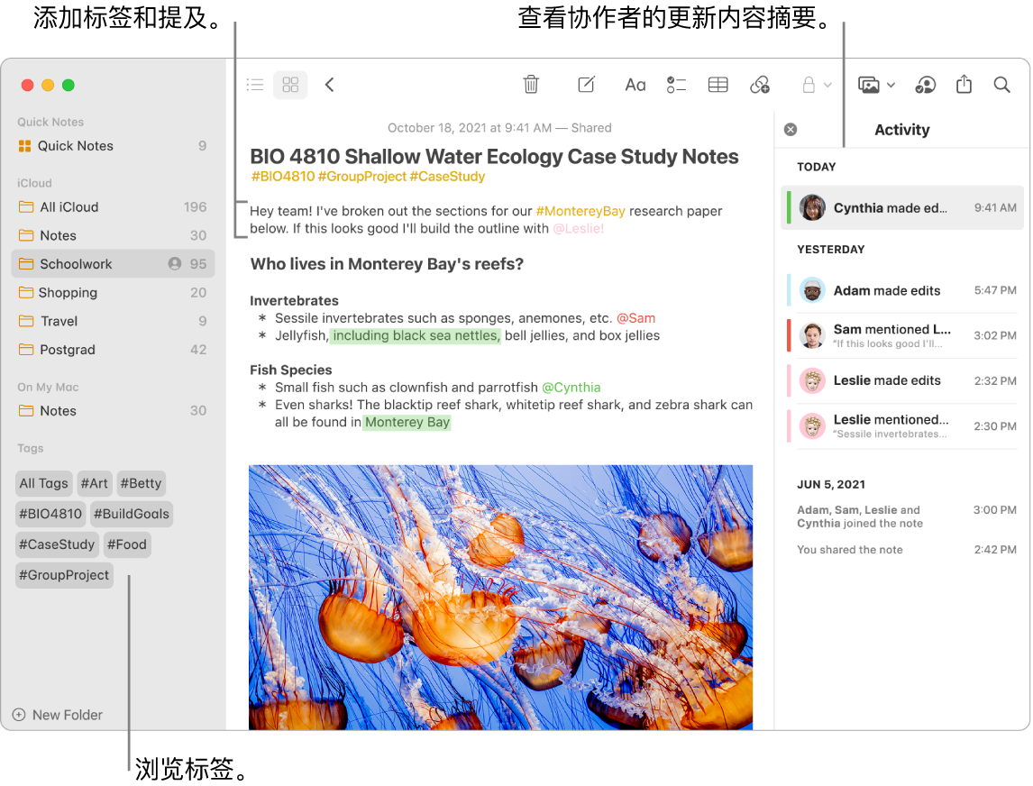 “画廊”视图下的“备忘录”窗口,边栏中有标签的标注。在主备忘录中有标签和提及的标注。右侧是活动列表,其中有查看更新摘要的标注。