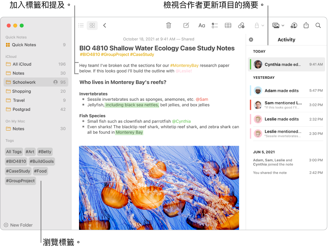 「圖庫」顯示方式中的「備忘錄」視窗,帶有側邊欄中標籤的說明框。主要備忘錄中顯示標記和提及的圖說。右方為活動列表,顯示檢視更新摘要的圖說。