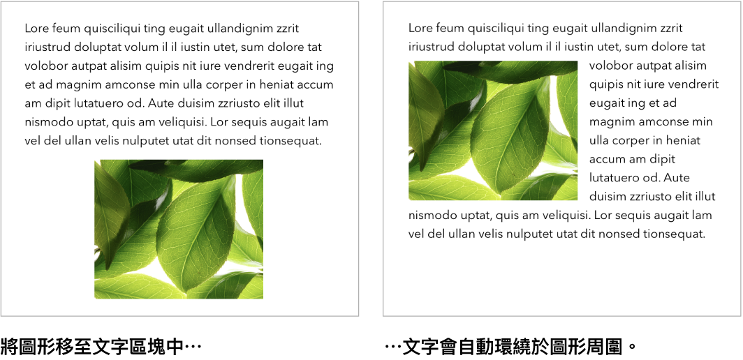 Pages 視窗,顯示文字如何環繞圖形。