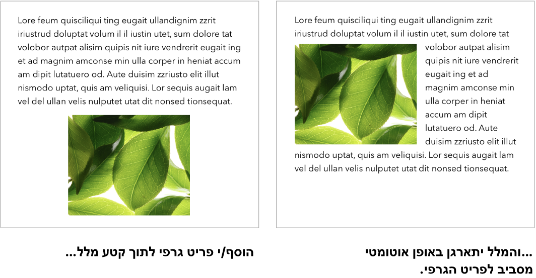 חלון של Pages המראה כיצד מלל גולש מסביב לגרפיקה.