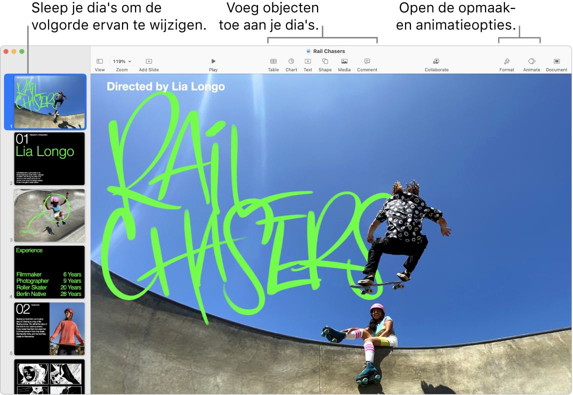 Een Keynote-venster met de navigator aan de linkerkant en informatie over hoe je dia's anders rangschikt. Bovenin bevindt zich de knoppenbalk met bewerkingsfuncties, rechtsbovenin staat de knop 'Werk samen' en rechts staan de knoppen 'Opmaak', 'Animatie' en 'Document'.
