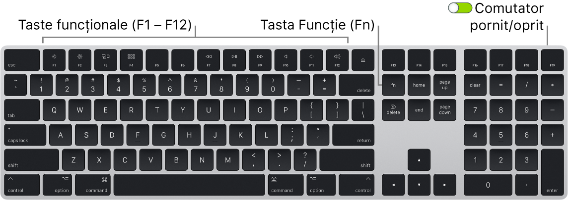 Magic Keyboard prezentând tasta Funcție (Fn) din colțul din stânga jos și comutatorul de pornire/oprire din colțul din dreapta sus a tastaturii.