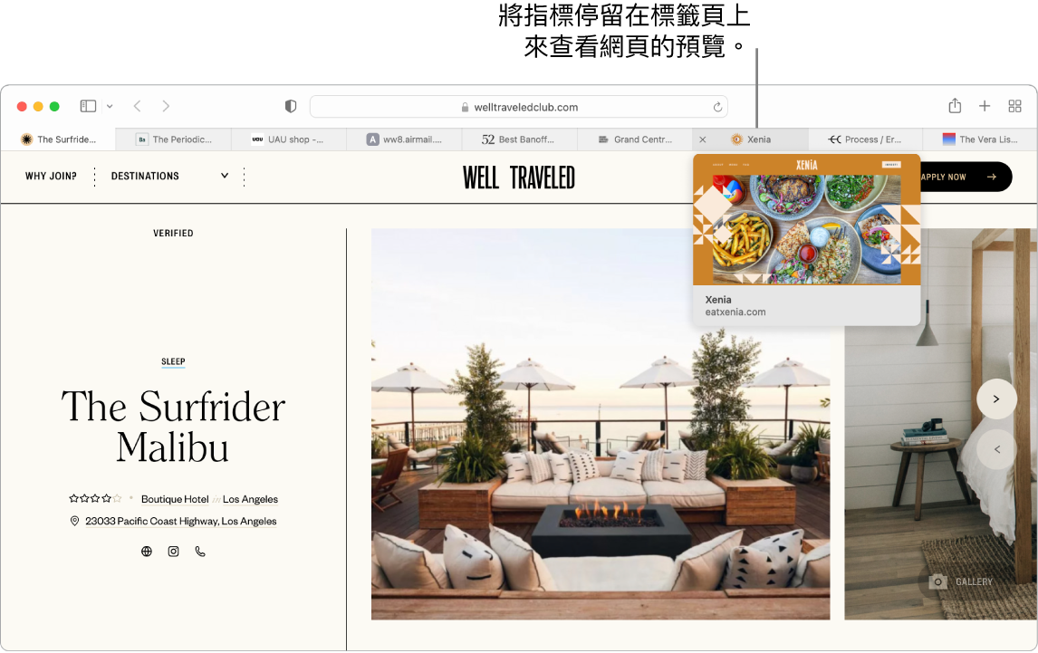 Safari 視窗顯示「好好旅行」作用中網頁,另外還有 9 個標籤頁,以及指向「大中央市場」標籤頁預覽畫面的圖說,帶有「將指標停留在標籤頁上來查看網頁預覽」的文字。