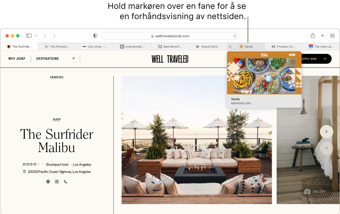 Et Safari-vindu med en aktiv nettside med navn «Well Traveled» samt 9 ytterligere faner, og en bildeforklaring til en forhåndsvisning av fanen «Grand Central Market» med teksten «Hold markøren over en fane for å vise en forhåndsvisning av nettsiden».