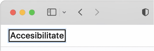 Cursorul VoiceOver—un contur dreptunghiular întunecat—focalizat pe cuvântul „Accesibilitate” de pe ecran.