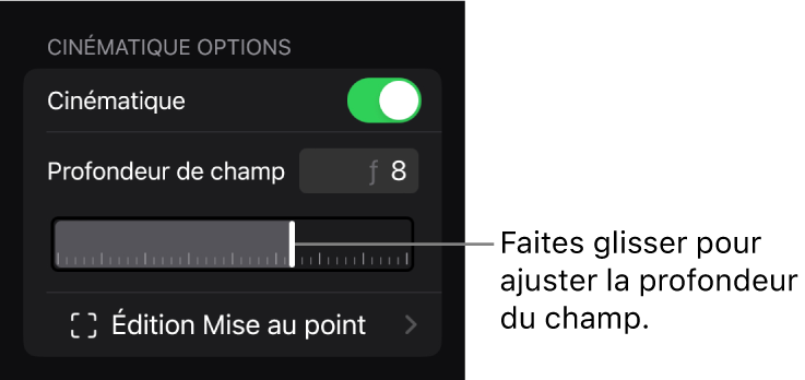 Section « Options cinématiques » de l’inspecteur affichant le curseur « Profondeur de champ ».
