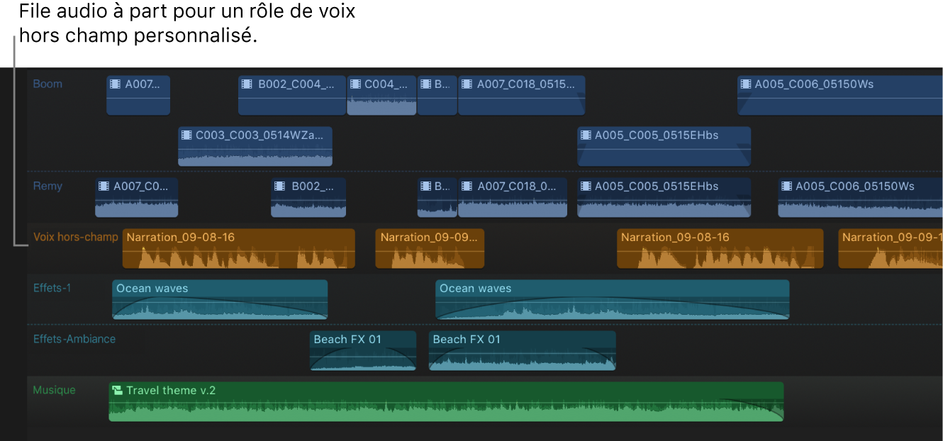 Timeline présentant les rôles par défaut et un rôle Voix off personnalisé