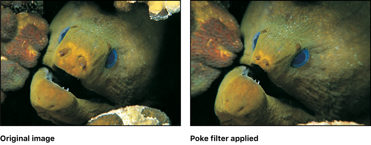 포크 필터의 효과를 보여주는 캔버스