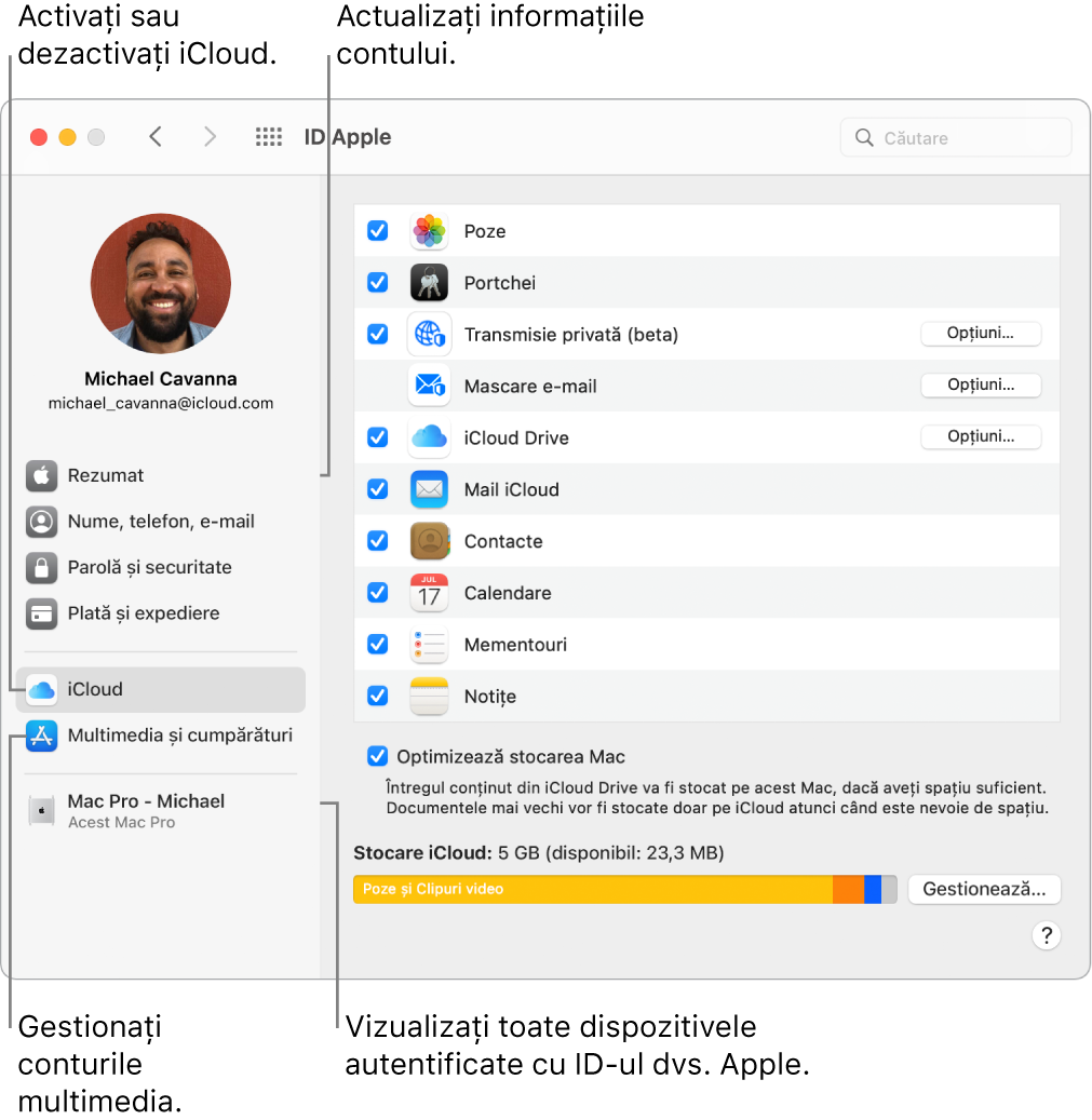 Panoul ID Apple din Preferințe sistem. Faceți clic pe un articol din bara laterală pentru a actualiza informațiile contului dvs., activați sau dezactivați iCloud, gestionați conturile multimedia și vizualizați toate dispozitivele pe care v-ați autentificat cu ID-ul Apple.