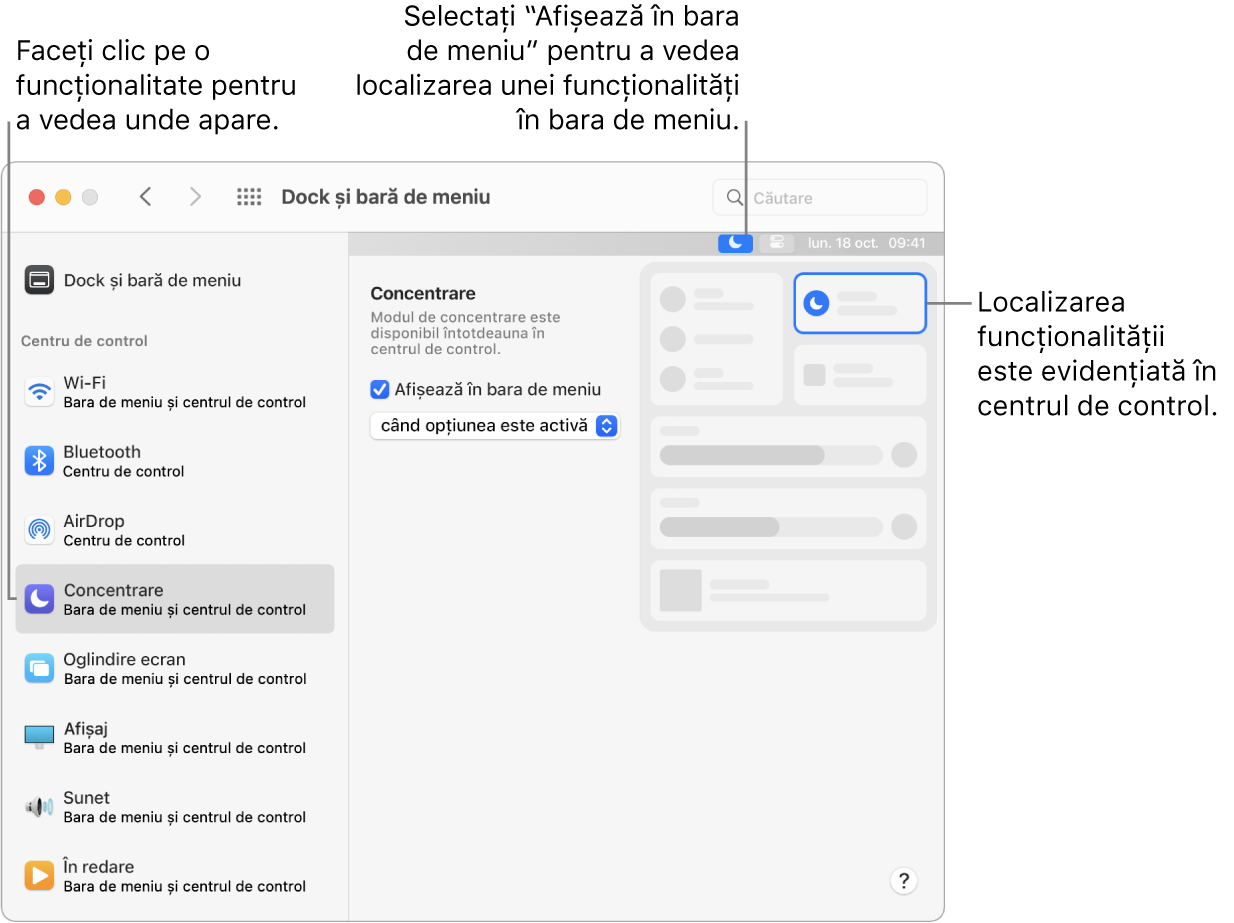 Fereastra preferințelor Dock și bară de meniu.