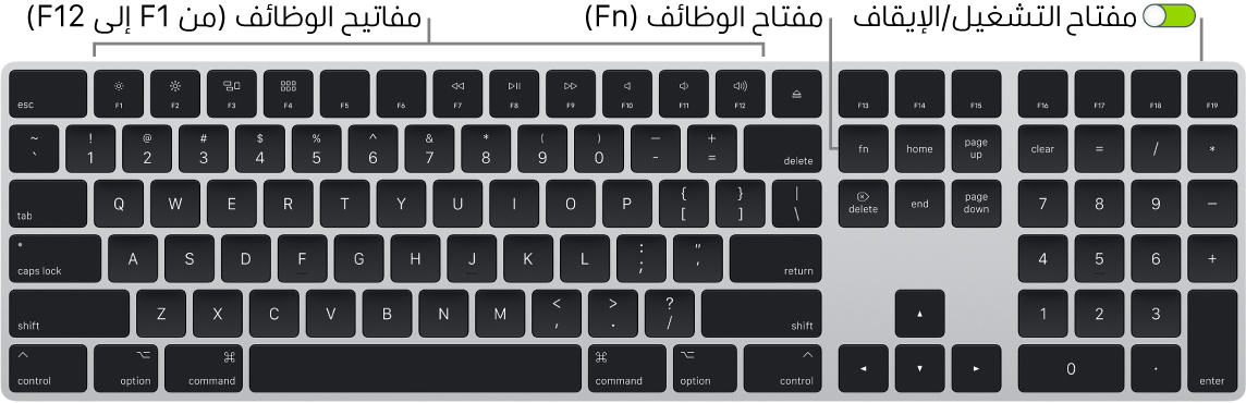 لوحة مفاتيح Magic Keyboard تظهر مفتاح الوظائف (Fn) في الزاوية السفلية اليسرى ومفتاح التشغيل/إيقاف التشغيل في الزاوية العلوية اليمنى من لوحة المفاتيح.