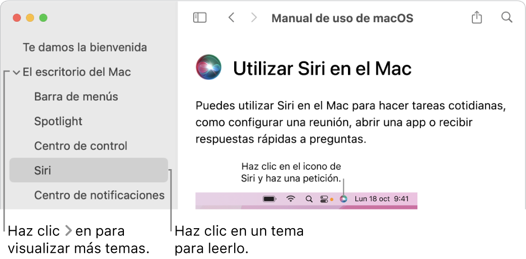 Visor de Ayuda donde se muestra cómo ver los temas enumerados en la barra lateral y cómo mostrar el contenido de un tema.