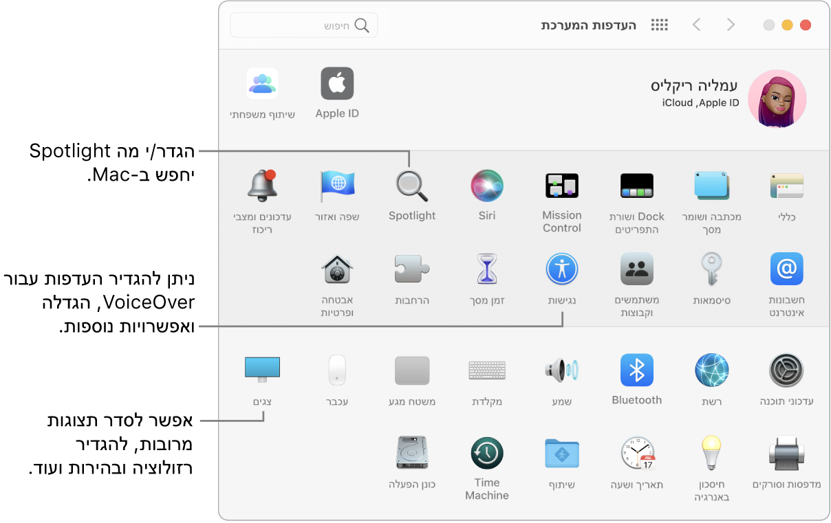 חלון ״העדפות המערכת״.