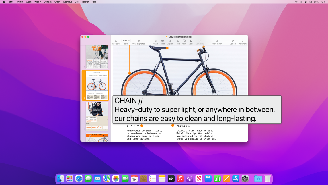 De voorziening voor het groter weergeven van tekst onder de aanwijzer is actief en toont uitvergrote tekst in een nieuw venster.