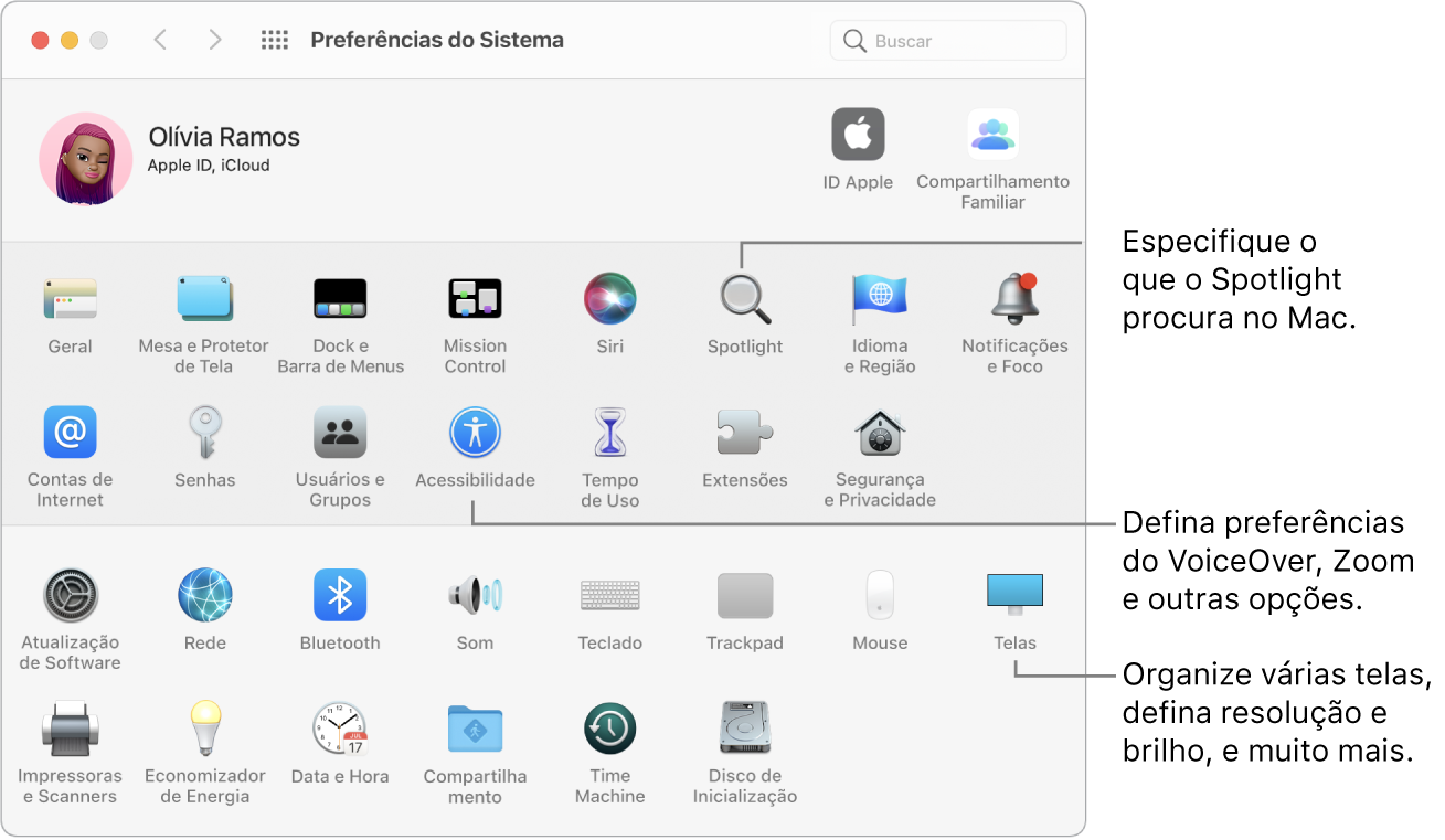 A janela das Preferências do Sistema.