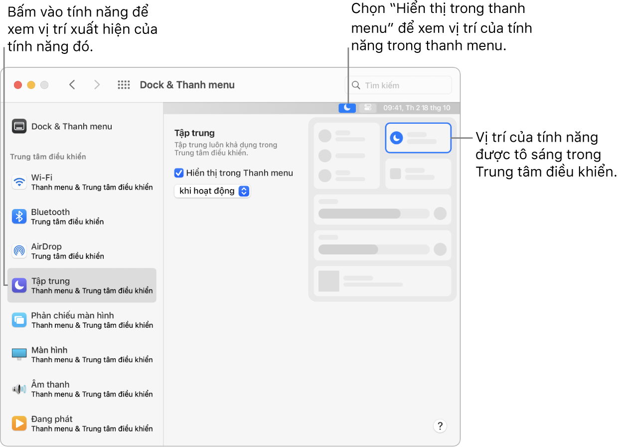 Cửa sổ Tùy chọn Dock và Thanh menu.