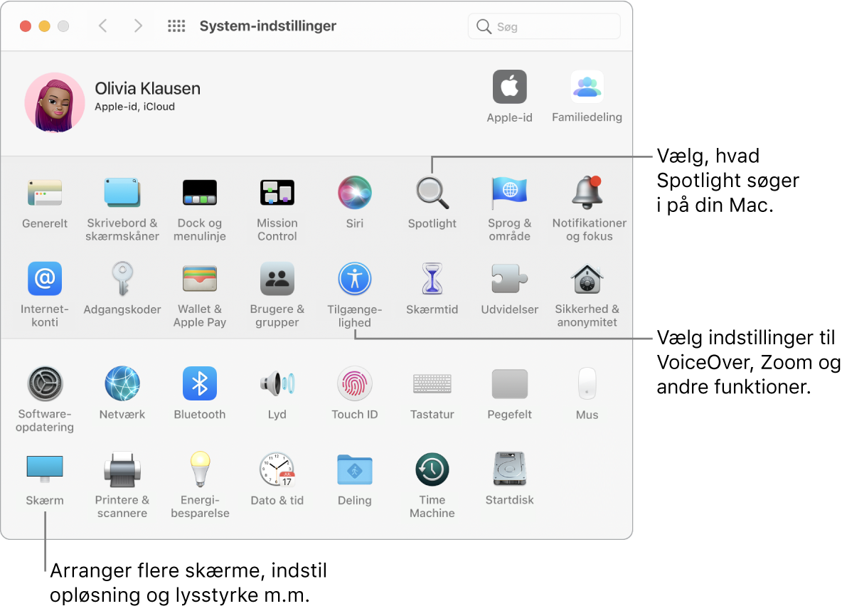 Vinduet Systemindstillinger.