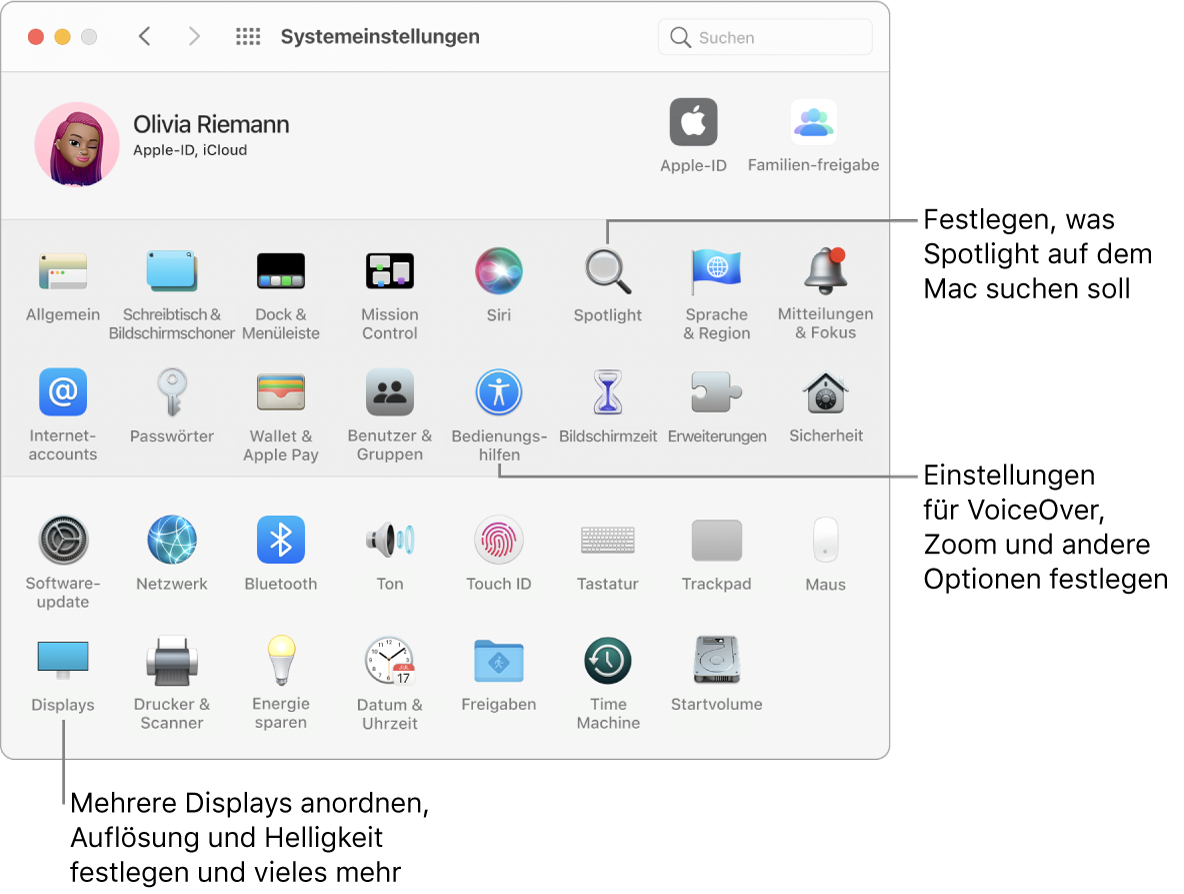 Das Fenster mit den Systemeinstellungen