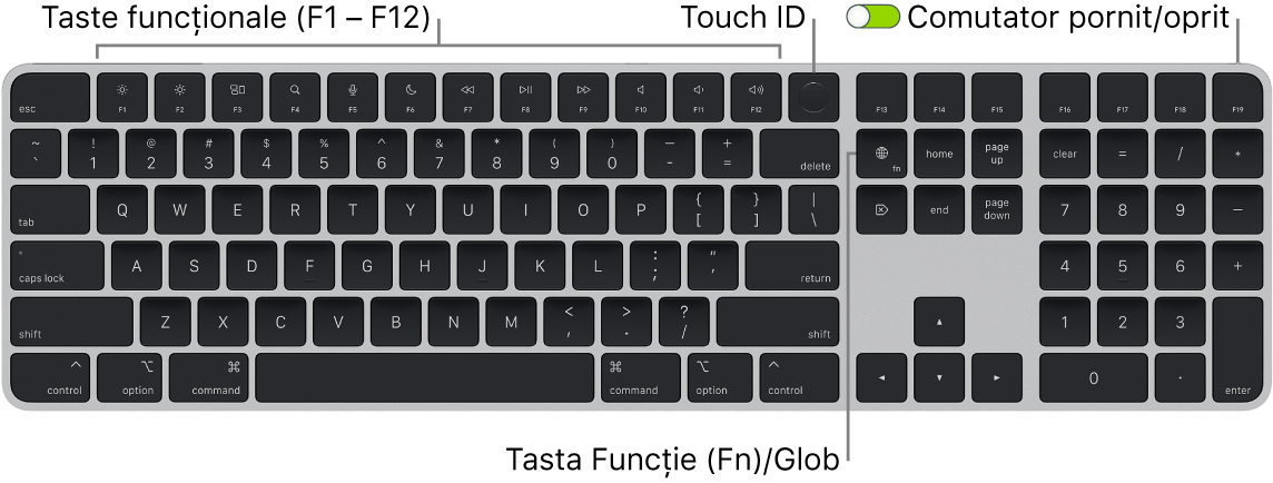Tastatura Magic Keyboard cu Touch ID și tastatură numerică afișând rândul de taste funcționale și senzorul Touch ID în partea de sus, precum și tasta Funcție (Fn)/Glob la dreapta tastei Șterge.