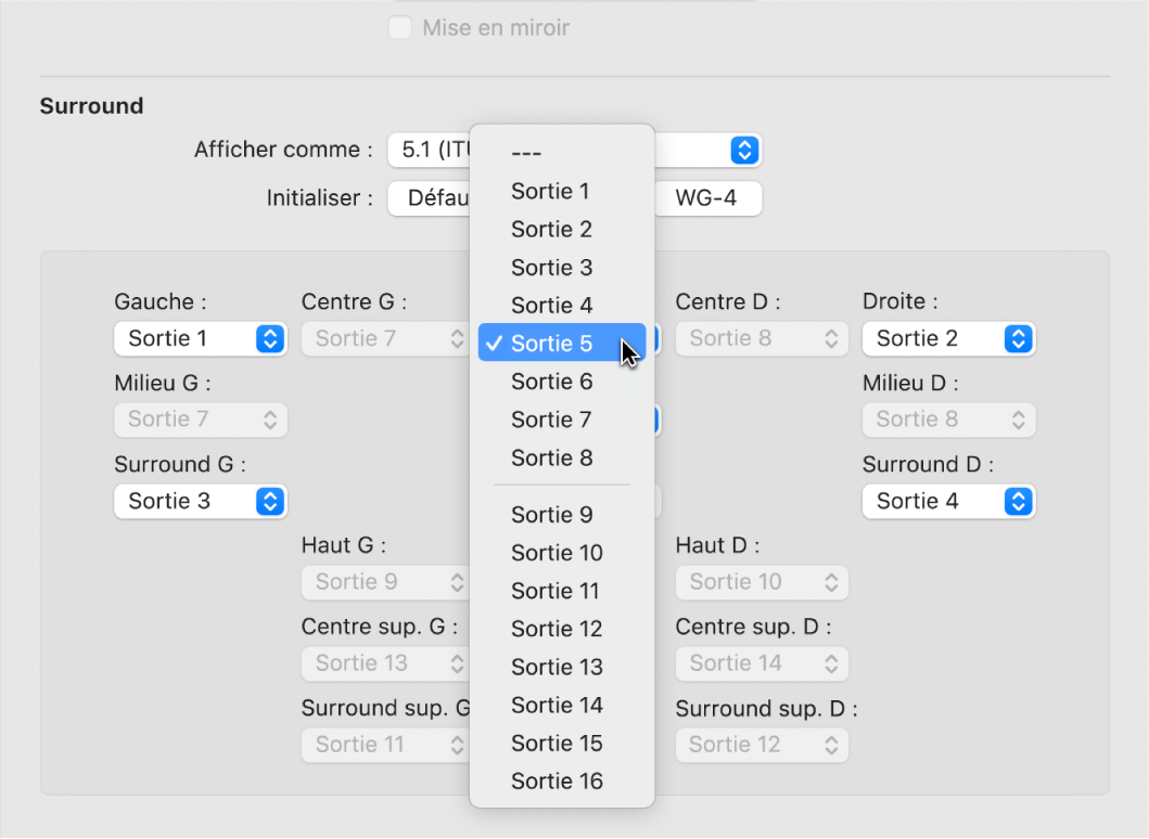 Figure. Menu local Sortie dans les préférences Surround.