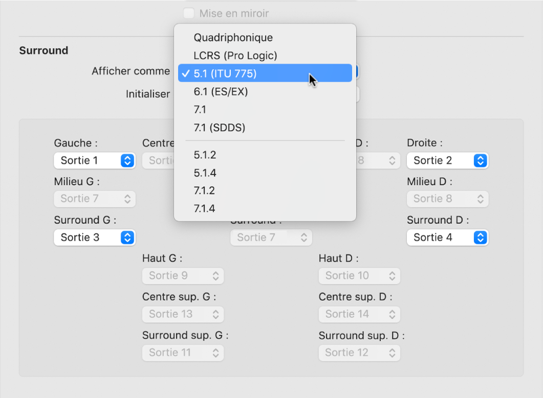 Figure. Préférences Surround.