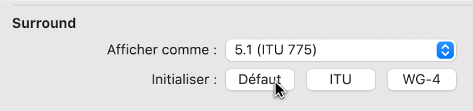Figure. Boutons Initialiser dans les préférences Surround.