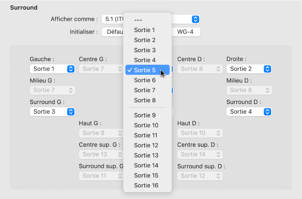 Figure. Menu local Entrée dans les préférences Surround.