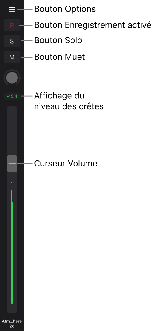 Figure. Curseur affichant le bouton Options, le bouton « Activer l'enregistrement », les boutons Solo et Muet, le potentiomètre Pan/Balance, l’affichage du niveau de crête et le curseur Volume.