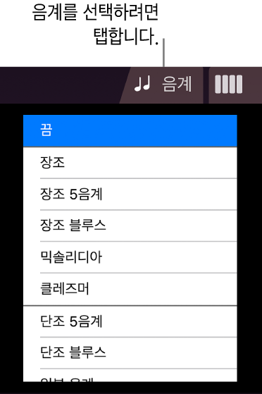 스트링 음계 버튼 및 음계 목록
