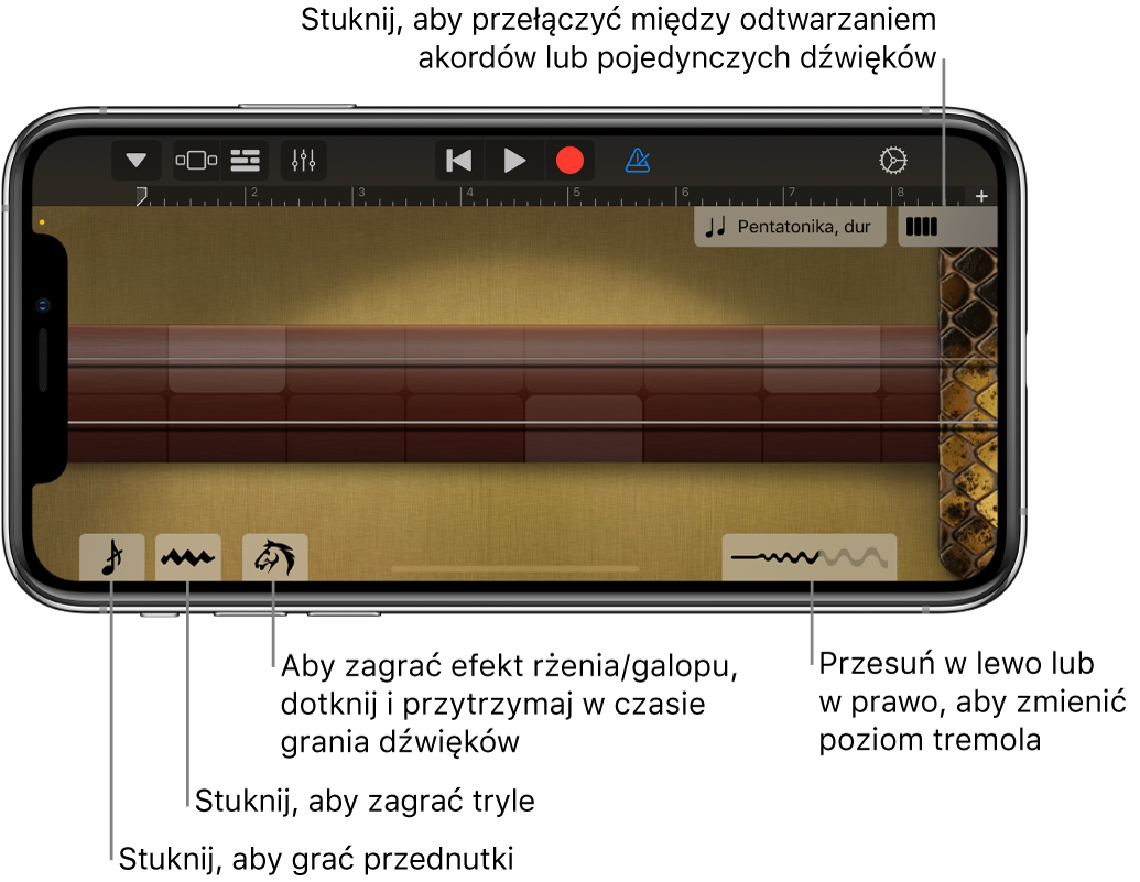 Erhu, widok dźwięków.