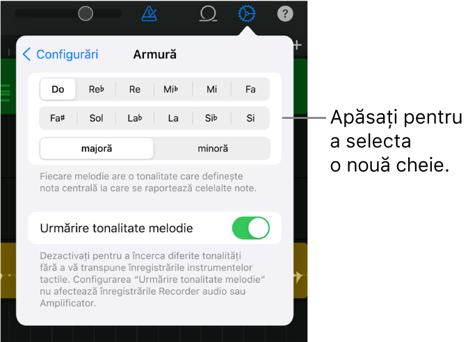 Configurări melodie, inclusiv comenzile pentru cheie