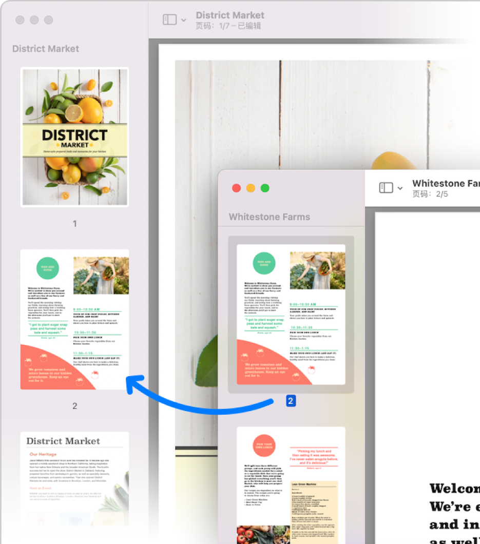 一个 PDF 的页面缩略图拷贝到另一个 PDF 的边栏。