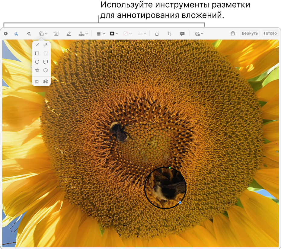 Вложение с панелью инструментов «Разметка» вдоль верхнего края.