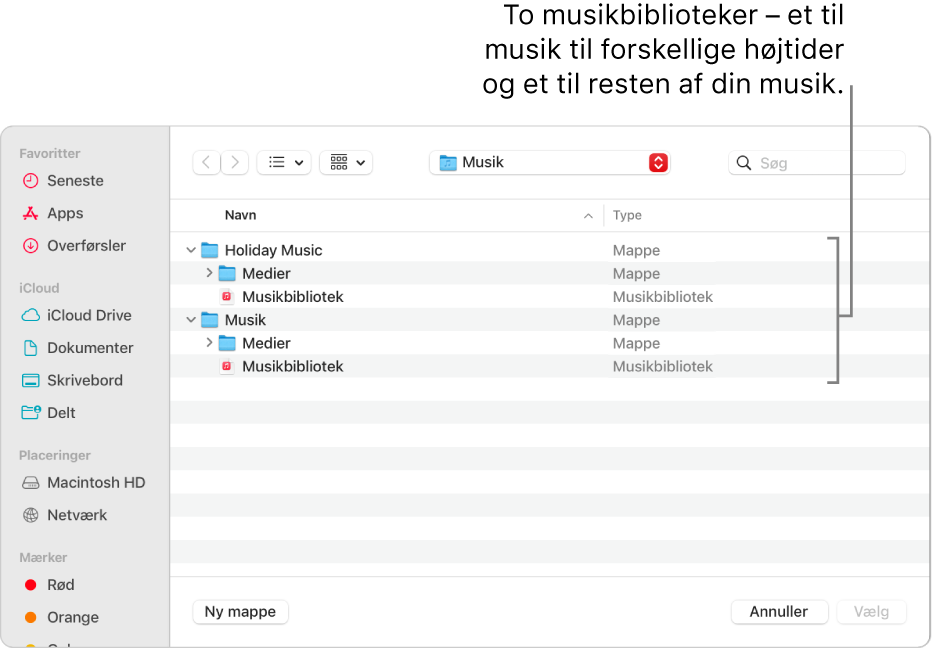 Vinduet Finder viser flere biblioteker – et for feriemusik og et for resten af din musik.