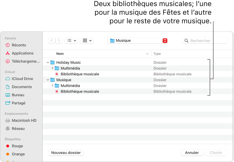 La fenêtre du Finder affichant plusieurs bibliothèques : une pour la musique des Fêtes et l’autre pour le reste de votre musique.