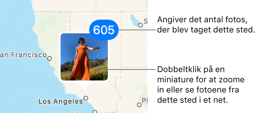 Et miniaturefoto på et kort med et tal i øverste højre hjørne, der viser, hvor mange fotos der er taget på samme lokalitet.