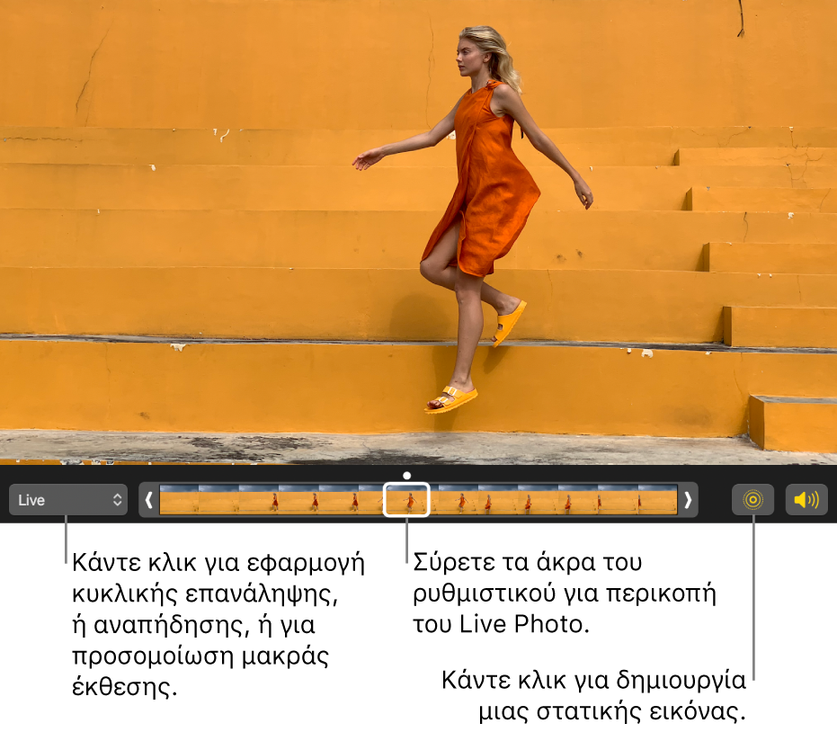 Ένα Live Photo σε προβολή επεξεργασίας με ένα ρυθμιστικό από κάτω που εμφανίζει τα καρέ της φωτογραφίας. Τα κουμπιά Live Photo και «Ηχείο» βρίσκονται στα αριστερά του ρυθμιστικού. Στα δεξιά του βρίσκεται ένα αναδυόμενο μενού που μπορείτε να χρησιμοποιήσετε για εφέ επανάληψης, αναπήδησης ή μακράς έκθεσης.