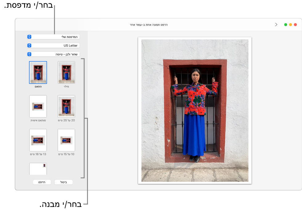 חלון של בחירת אפשרויות הדפסה עם אזור תצוגה מקדימה לפני הדפסה מימין ואפשרויות הדפסה משמאל.