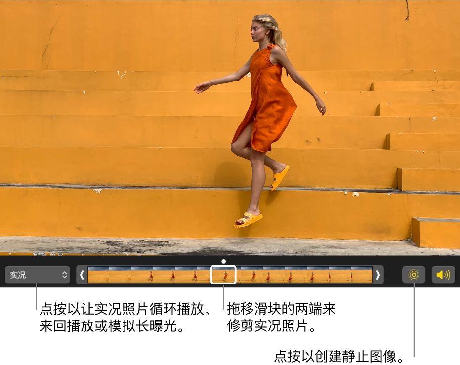 编辑视图中的实况照片,其下方的滑块显示照片中的帧。“实况照片”按钮和“扬声器”按钮位于滑块左侧,右侧为弹出式菜单,可用来添加循环播放、来回播放或长曝光效果。
