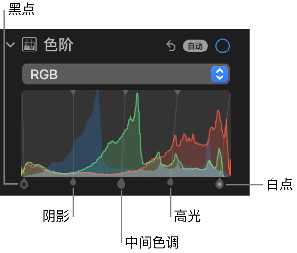 “调整”面板中的“色阶”控制,显示 RGB 直方图及下方的控制柄,包括(从左到右)黑点、阴影、中间色调、高光和白点。