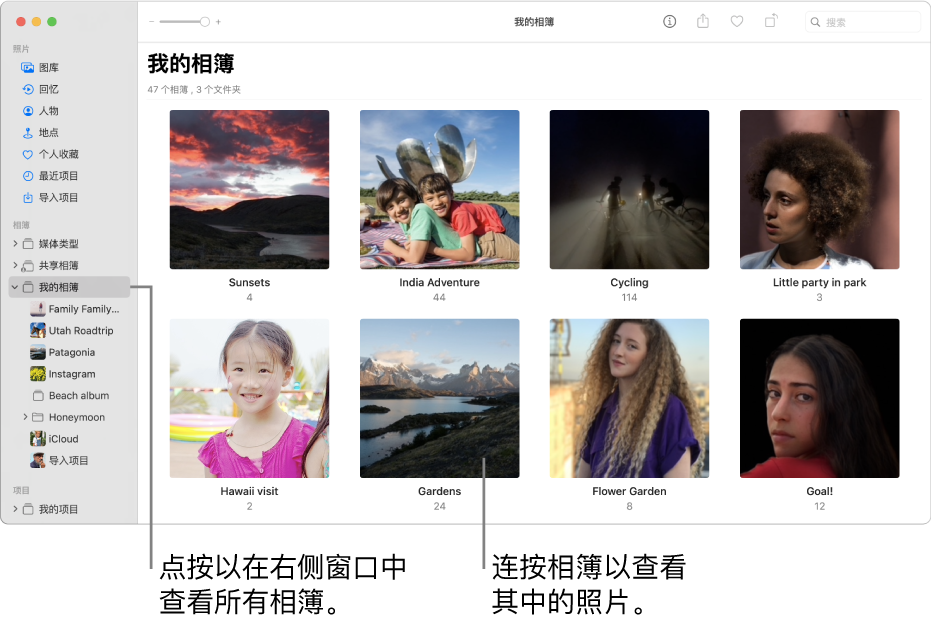 “照片”窗口,在边栏中选择了“我的相簿”,您创建的相簿显示在右侧的窗口中。