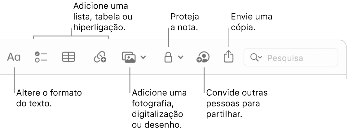 A barra de ferramentas da aplicação Notas com chamadas para ferramentas de formato do texto, lista, tabela, hiperligação, fotografias/multimédia, partilha e enviar uma cópia.