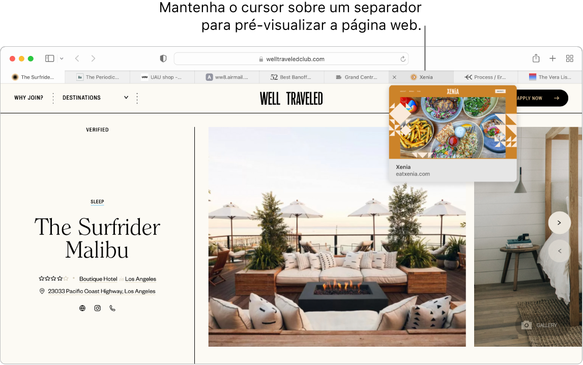 Uma janela do Safari com uma página web ativa denominada “Well Traveled”, juntamente com 9 separadores adicionais e uma chamada para uma pré-visualização do separador “Xenia” com o texto “Coloque o cursor sobre um separador para uma pré‑visualização da página web”.