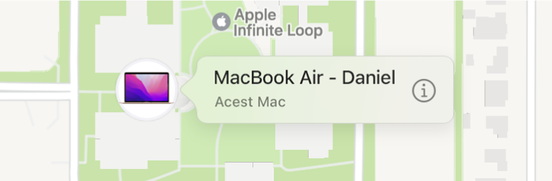Un detaliu al pictogramei Informații pentru MacBook Pro (Danny).