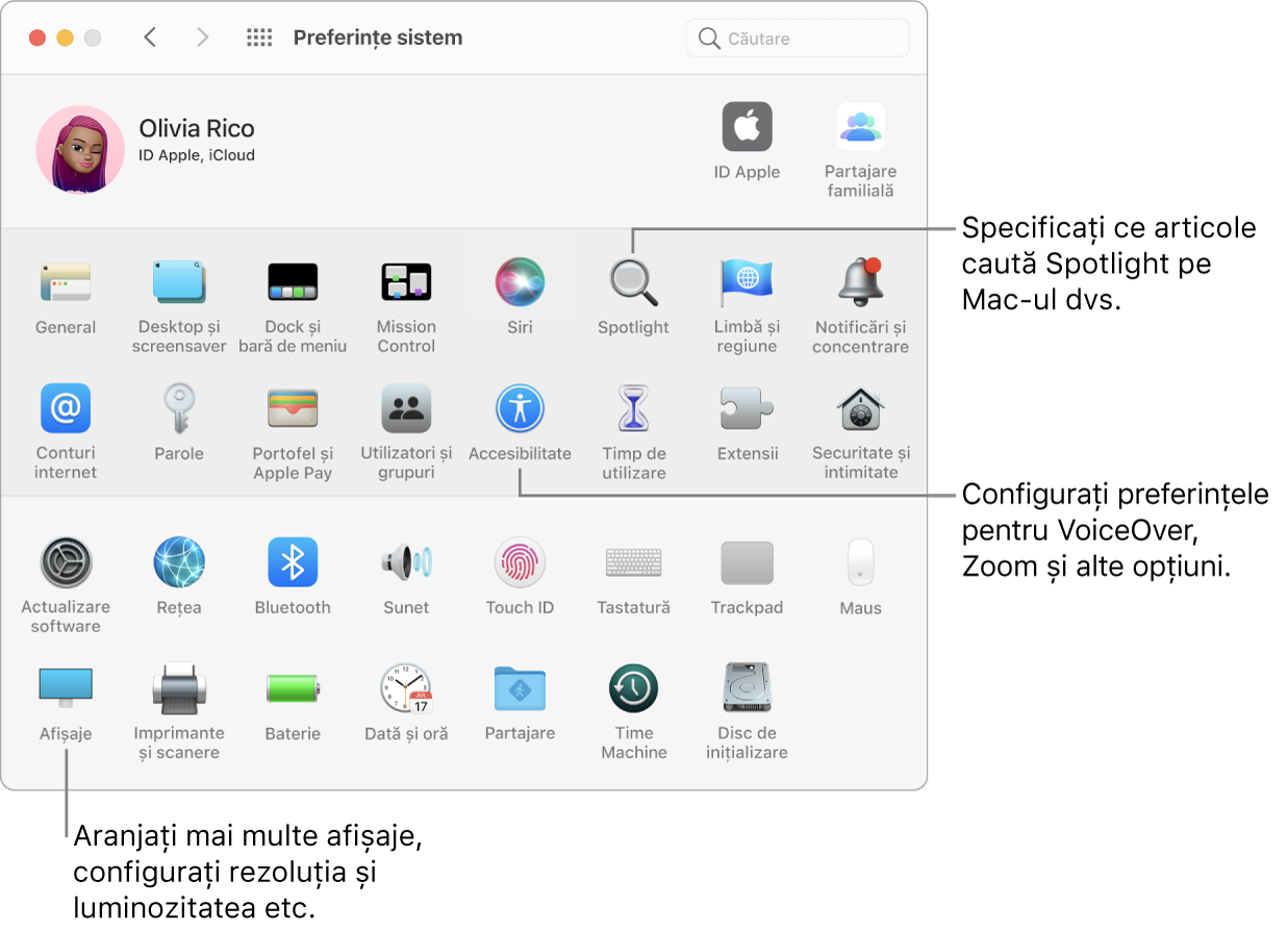 Fereastra Preferințe sistem, cu explicații pentru preferințele Spotlight, Accesibilitate și Afișaje.