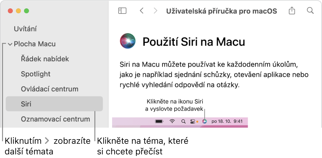 Prohlížeč nápovědy s informacemi o tom, jak zobrazit témata uvedená na bočním panelu a jak otevřít obsah tématu