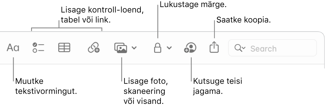 Tööriistariba Notes väljaviikudega tekstivormingu, ülesandeloendi, tabeli, lingi, fotode/meedia, lukustamise, jagamise ning kopeerimise tööriistadele.