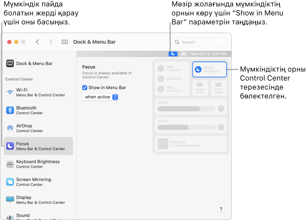 Focus және қосымша параметрлер мен мүмкіндік нәтижелеріне тілше деректері бар Dock and Menu Bar Preferences терезесі.
