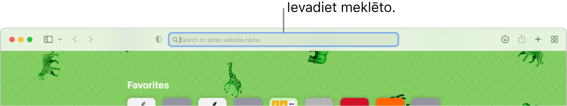 Apgriezts lietotnes Safari logs ar remarku pie meklēšanas lauka ekrāna augšā.