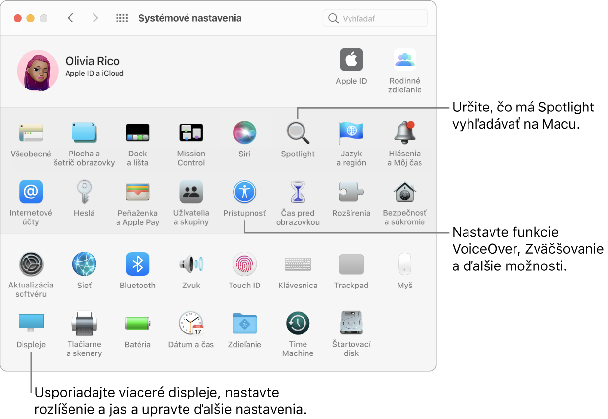 Okno Systémových nastavení s popismi pre nastavenia Spotlightu, prístupnosti a displejov.